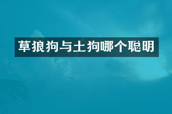 草狼狗与土狗哪个聪明
