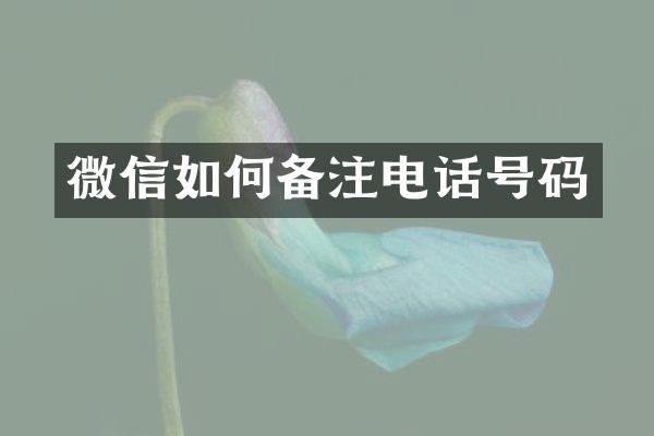 微信如何备注电话号码