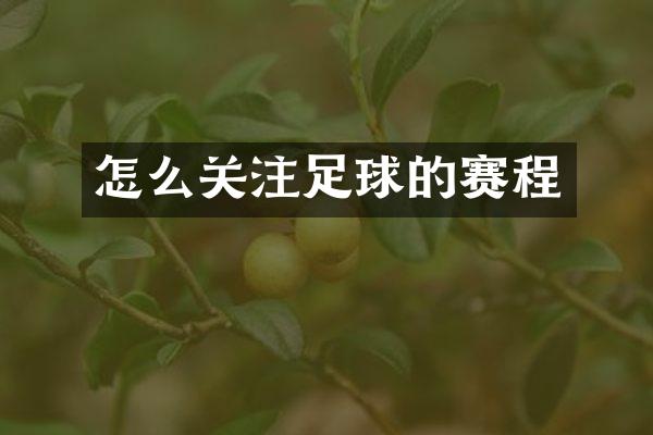 怎么关注足球的赛程