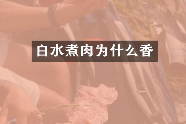 白水煮肉为什么香