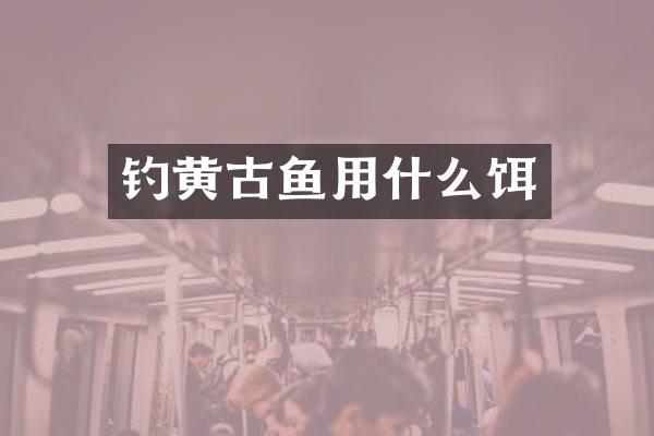 钓黄古鱼用什么饵