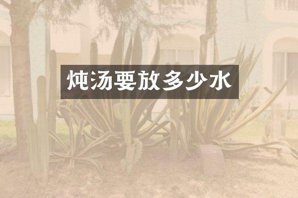 炖汤要放多少水