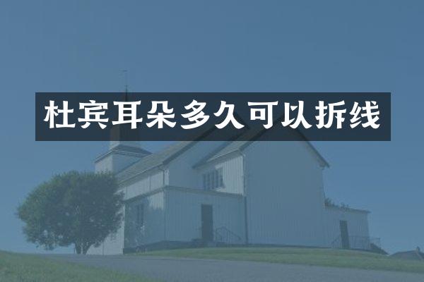 杜宾耳朵多久可以拆线