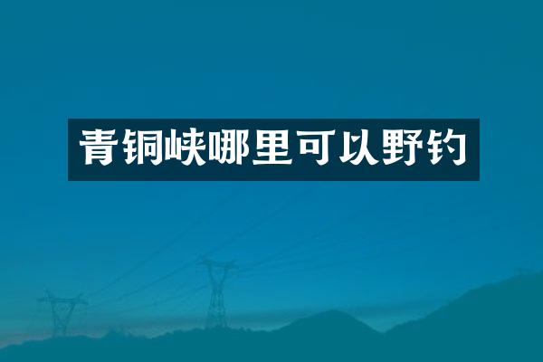 青铜峡哪里可以野钓