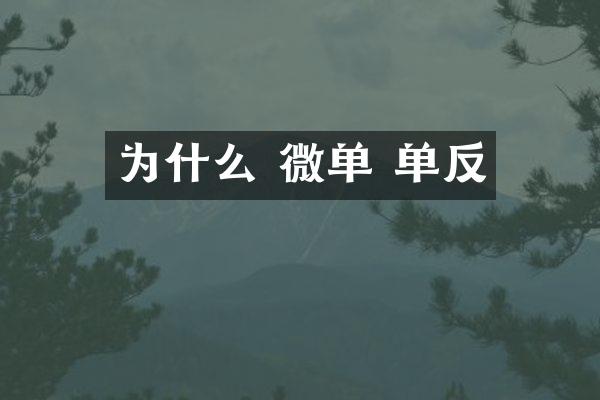 为什么 微单 单反