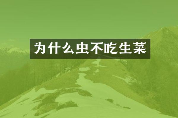 为什么虫不吃生菜