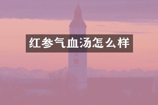 红参气血汤怎么样