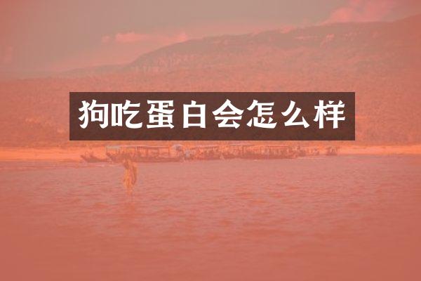 狗吃蛋白会怎么样