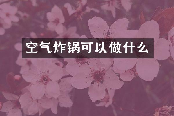 空气炸锅可以做什么