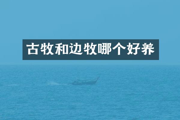 古牧和边牧哪个好养