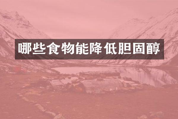 哪些食物能降低胆固醇