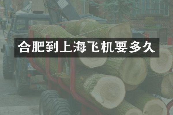 合肥到上海飞机要多久