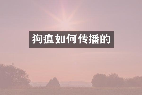 狗瘟如何传播的