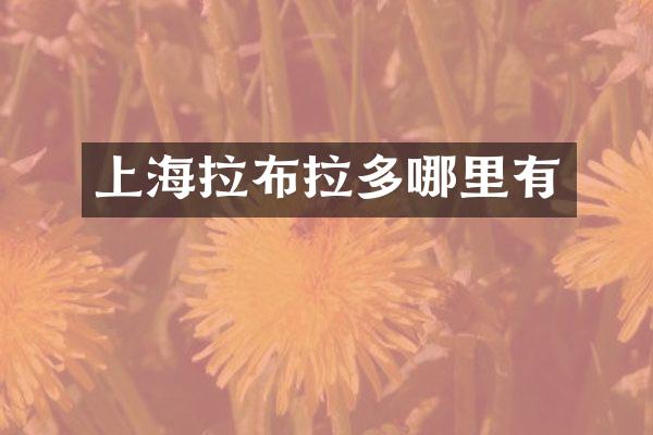 上海拉布拉多哪里有