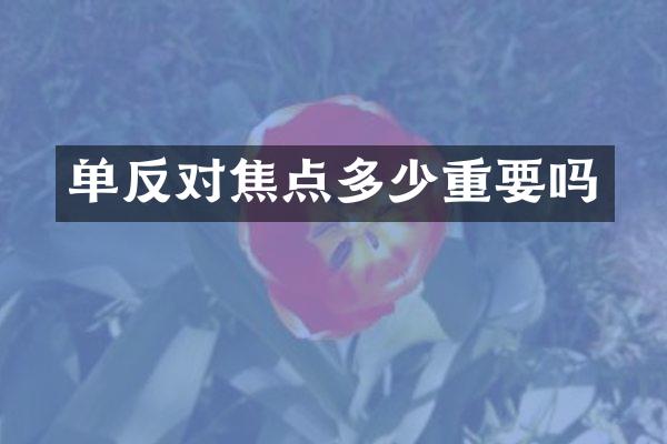 单反对焦点多少重要吗