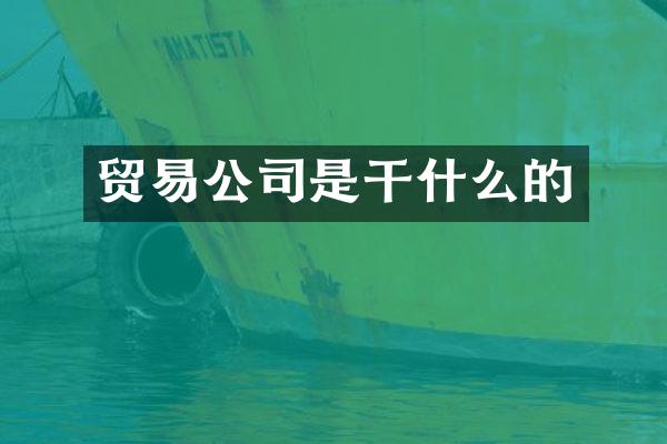 贸易公司是干什么的