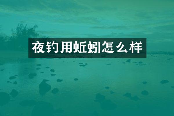 夜钓用蚯蚓怎么样