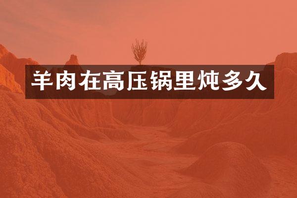 羊肉在高压锅里炖多久