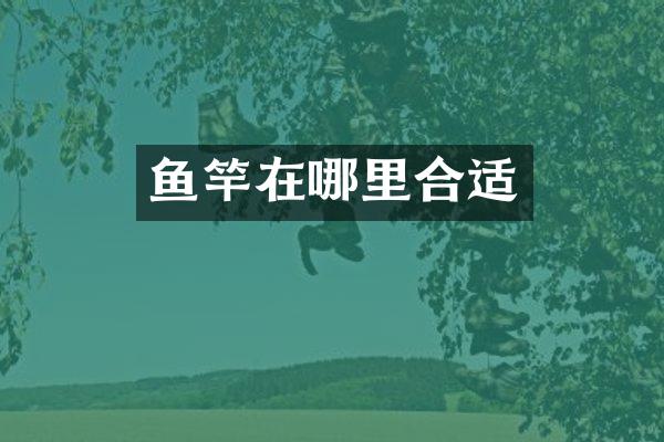 鱼竿在哪里合适