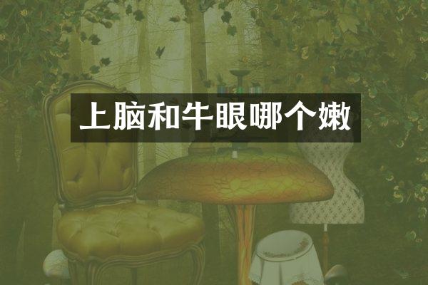 上脑和牛眼哪个嫩