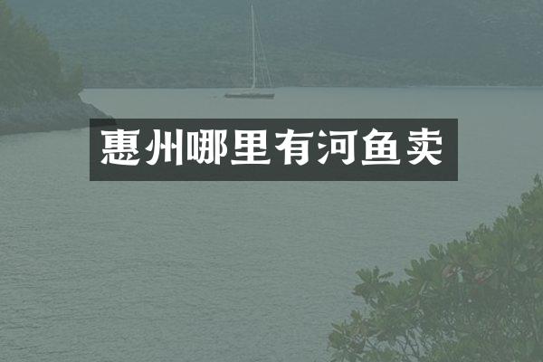 惠州哪里有河鱼卖
