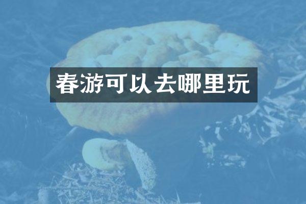 春游可以去哪里玩