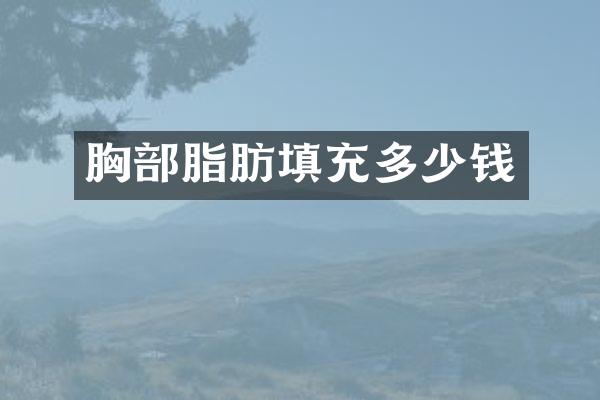 胸部脂肪填充多少钱