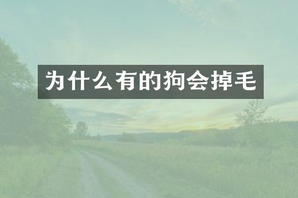 为什么有的狗会掉毛
