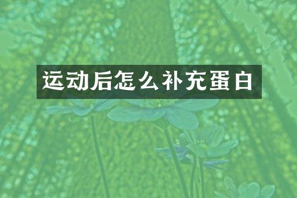 运动后怎么补充蛋白