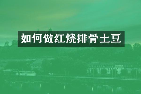 如何做红烧排骨土豆