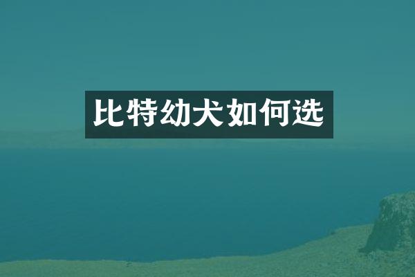 比特幼犬如何选