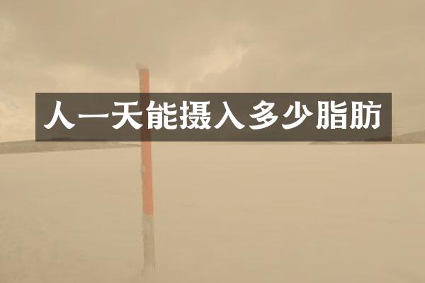 人一天能摄入多少脂肪