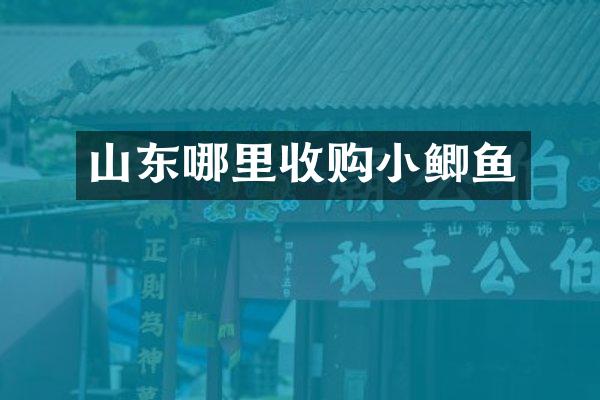 山东哪里收购小鲫鱼