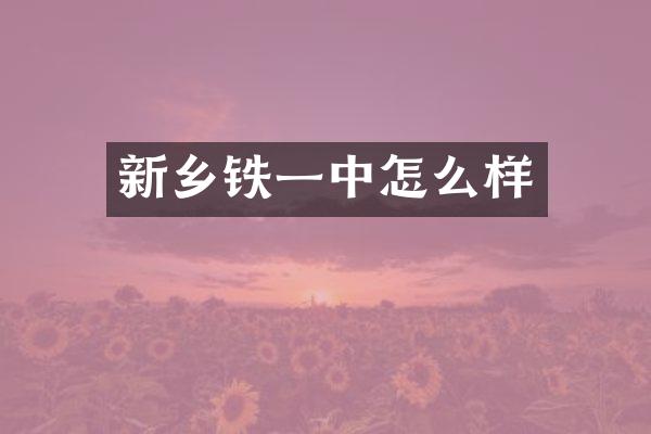 新乡铁一中怎么样