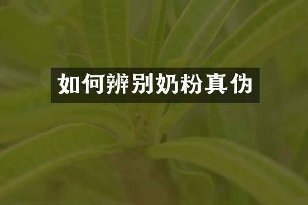 如何辨别奶粉真伪