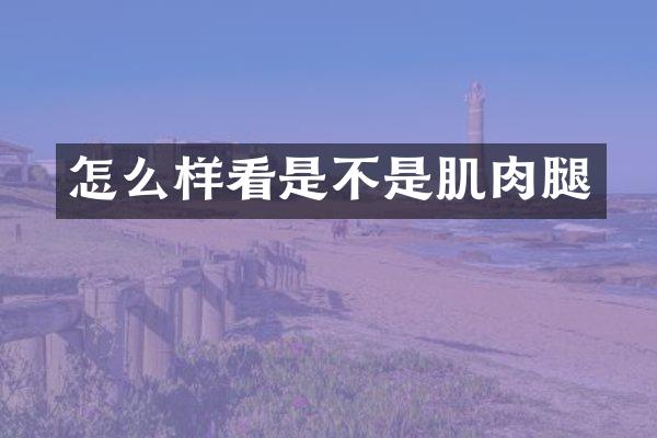 怎么样看是不是肌肉腿