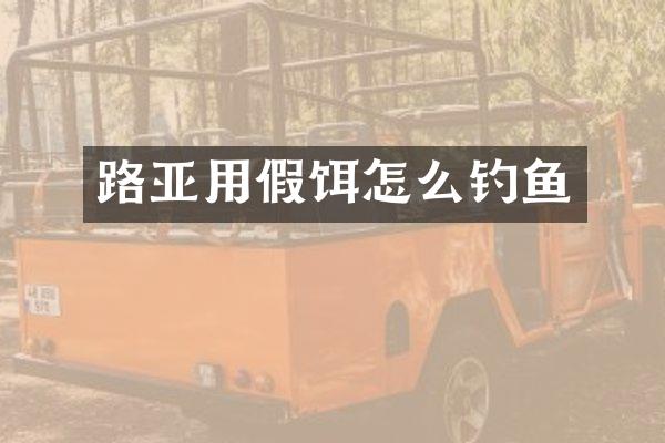 路亚用假饵怎么钓鱼