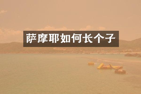 萨摩耶如何长个子