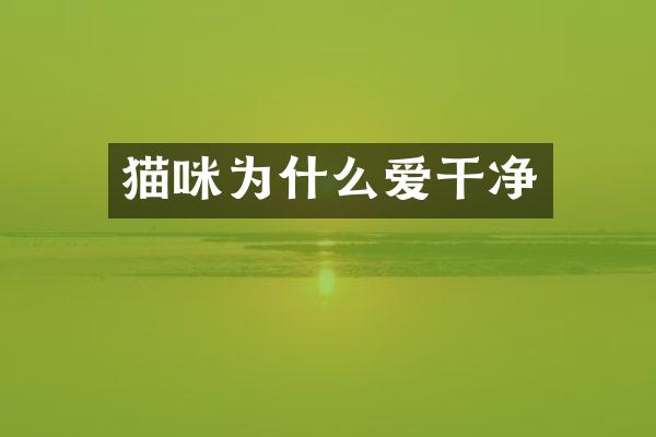 猫咪为什么爱干净