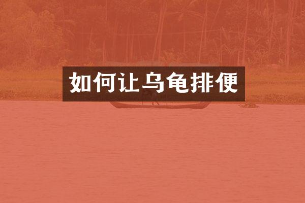 如何让乌龟排便