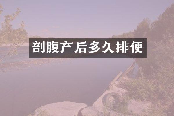 剖腹产后多久排便