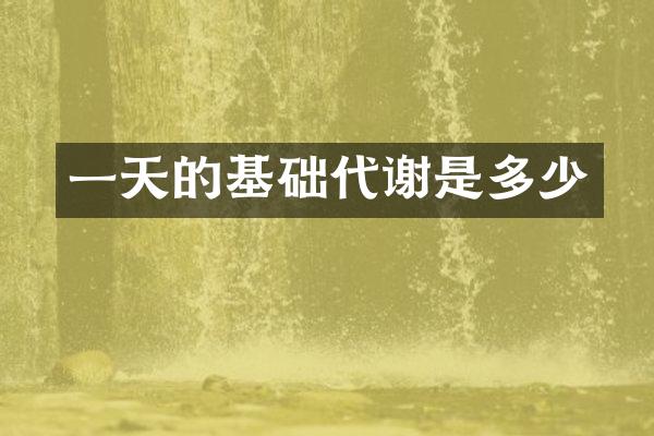 一天的基础代谢是多少
