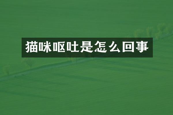 猫咪呕吐是怎么回事