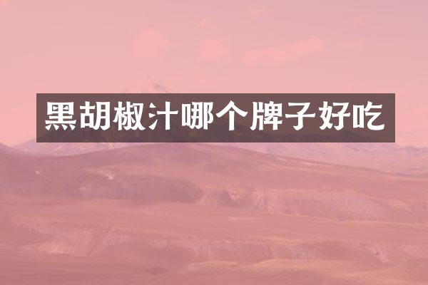 黑胡椒汁哪个牌子好吃