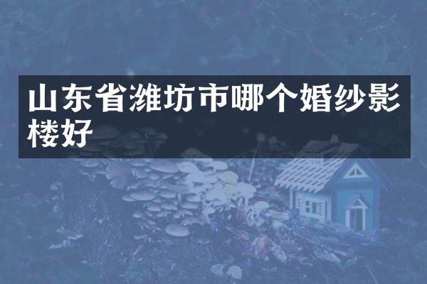 山东省潍坊市哪个婚纱影楼好