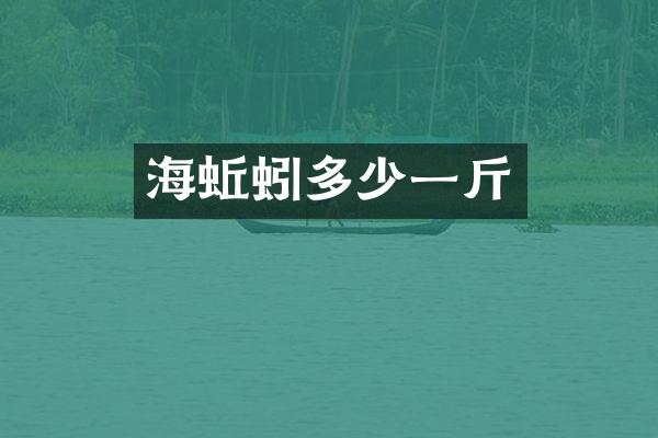 海蚯蚓多少一斤