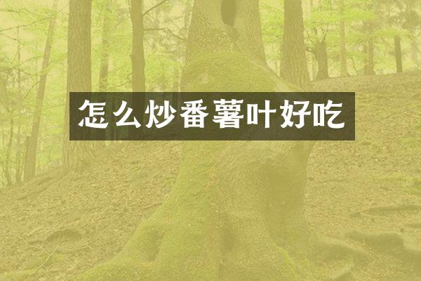 怎么炒番薯叶好吃