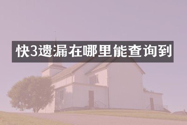 快3遗漏在哪里能查询到