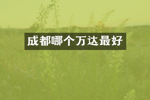 成都哪个万达最好