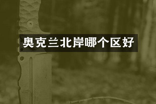 奥克兰北岸哪个区好